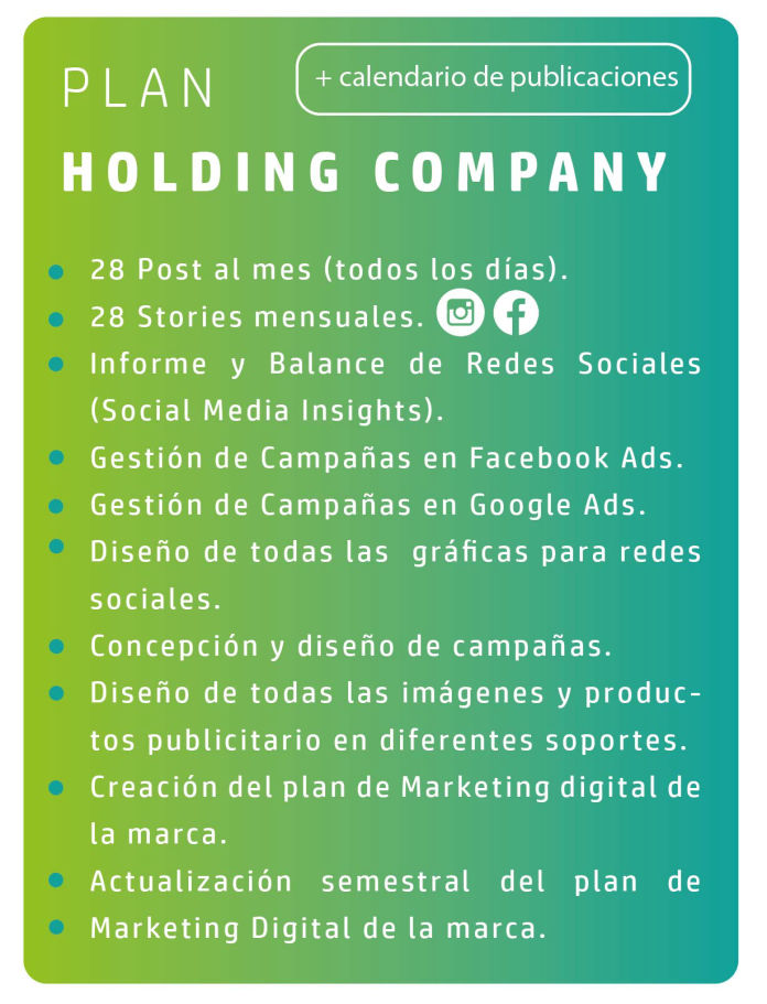 Holding Company social media plan